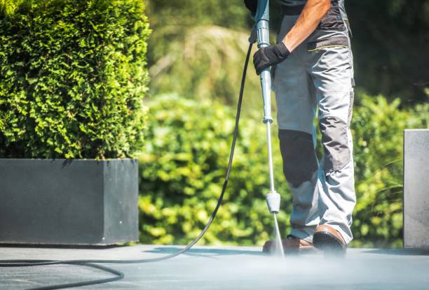 Solar Panel Cleaning in Newport, WA