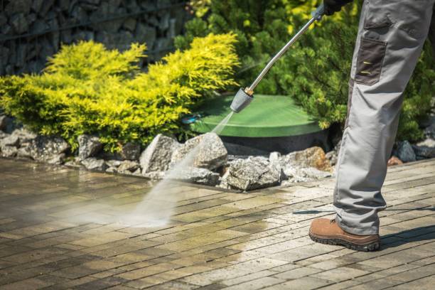Best Gutter Cleaning  in Newport, WA