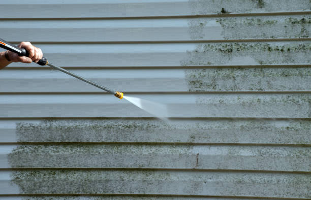 Best Sidewalk and Walkway Cleaning  in Newport, WA